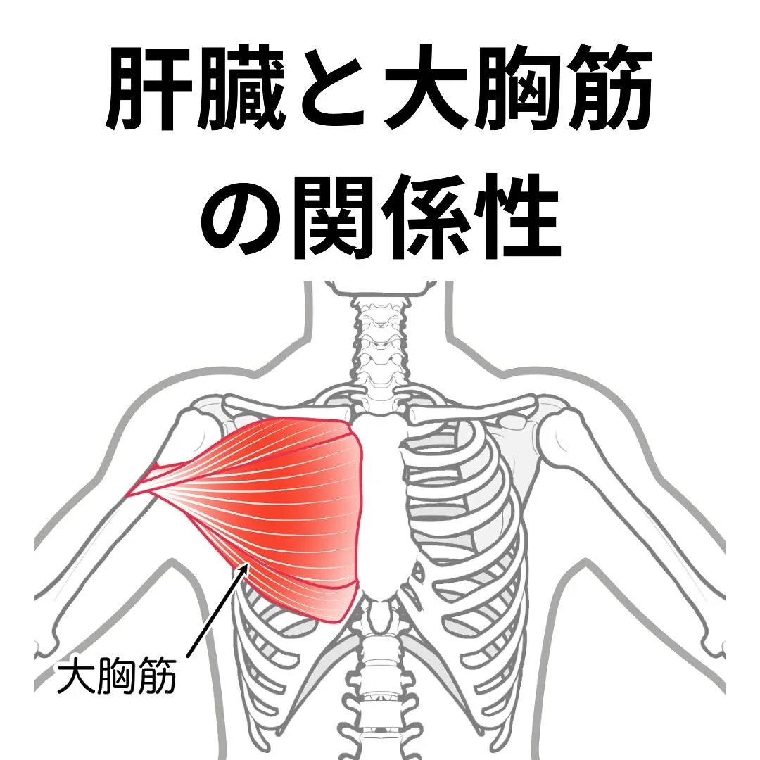 川西市の整骨院・整体なら川西AXIS整体院へ